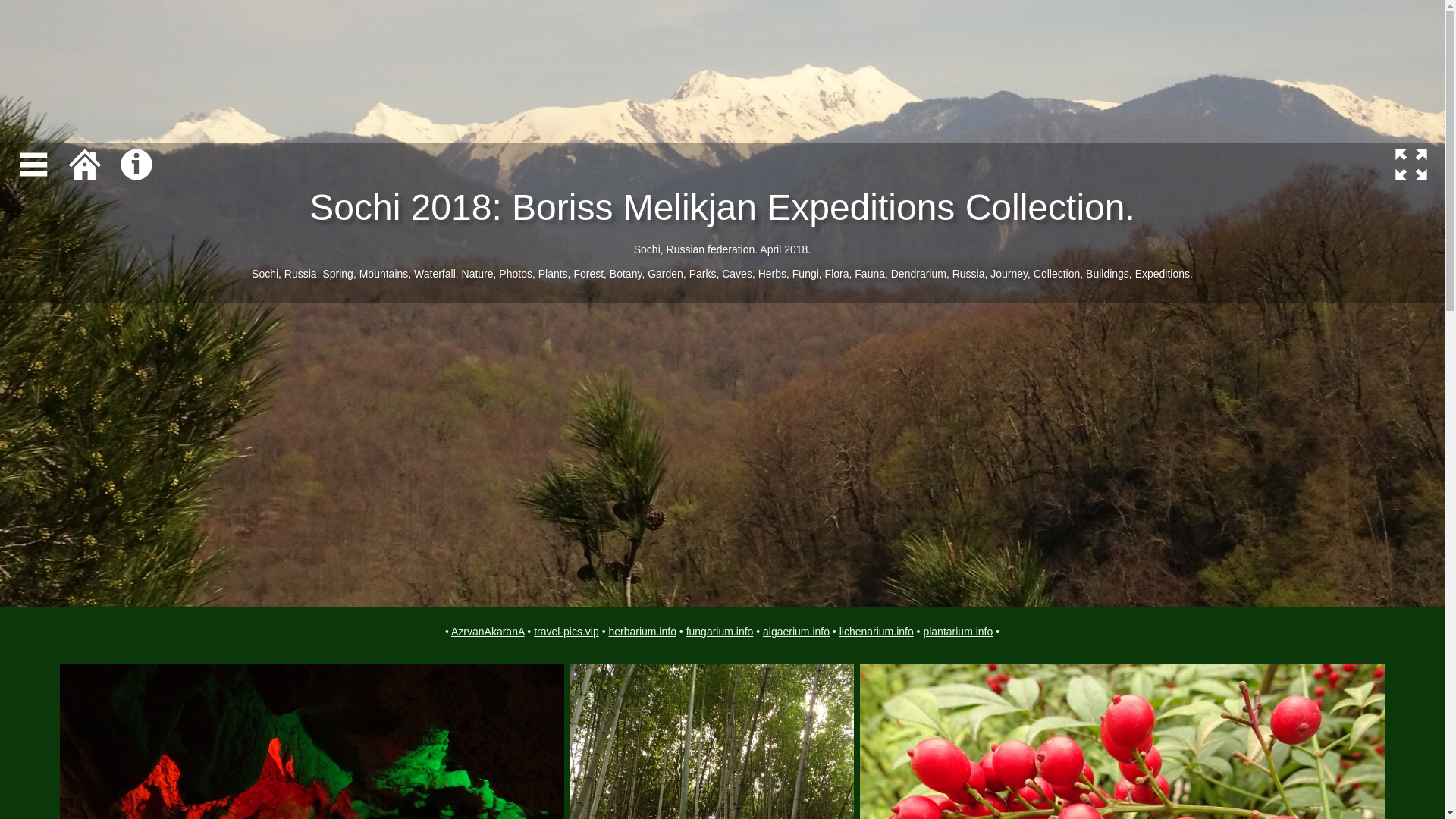 website screenshot of https://sochi-travel-pics.pages.dev/
