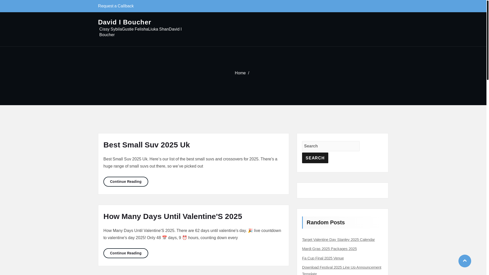 website screenshot of https://davidibouchers.pages.dev/
