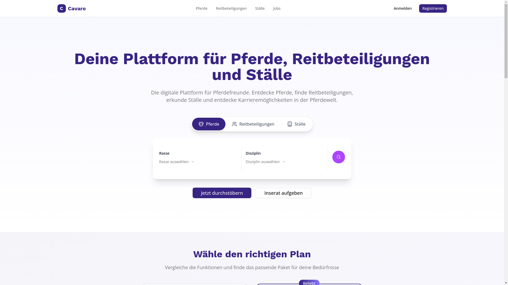 website screenshot of https://cavaro-horse.de/