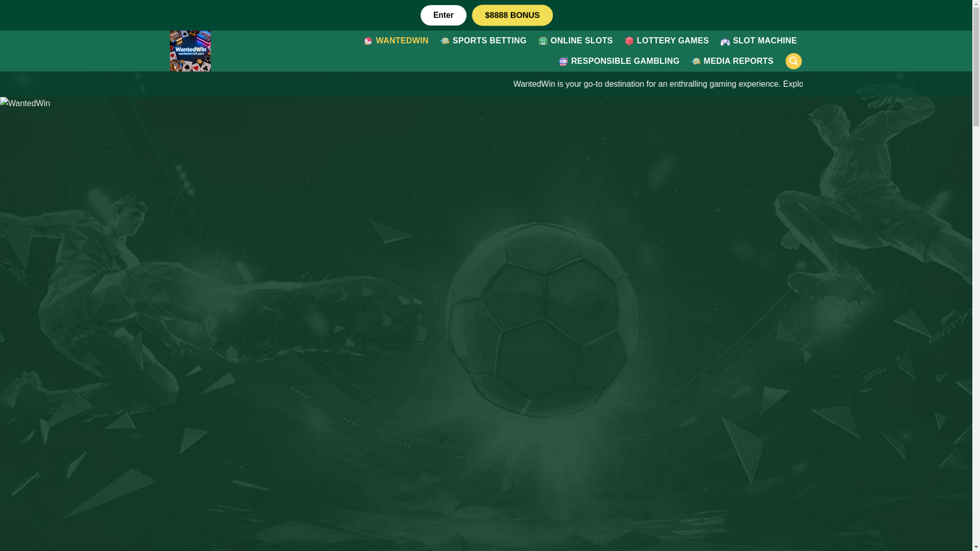 website screenshot of https://wantedwin24.com/