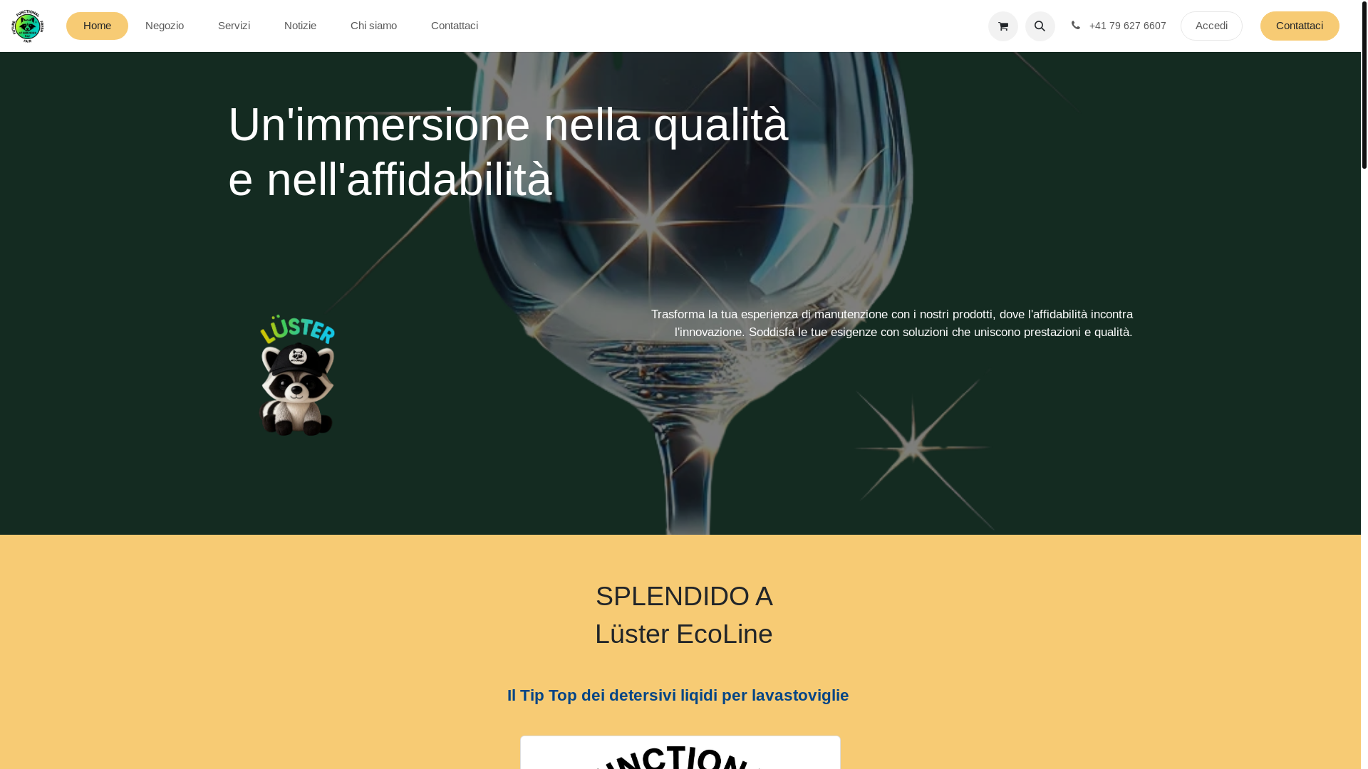 website screenshot of https://4fservices.ch/