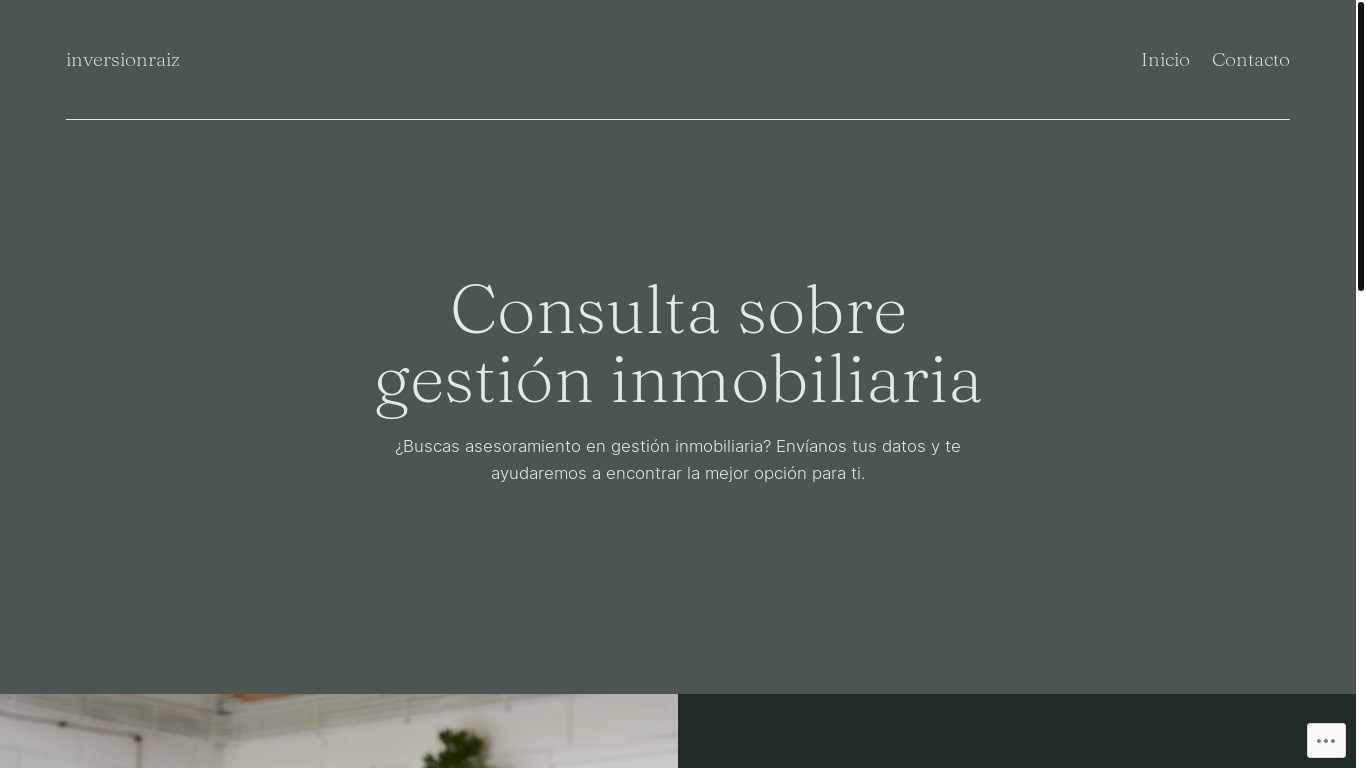 website screenshot of https://inversionraiz.cl/