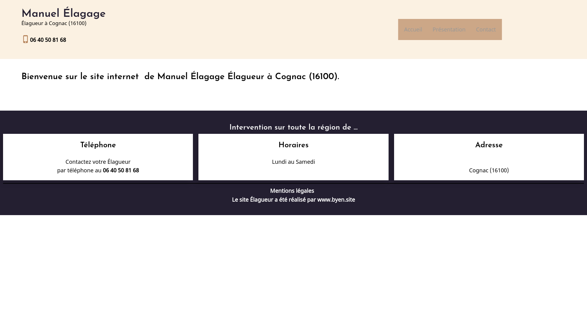 website screenshot of https://manuel-elagage.fr/