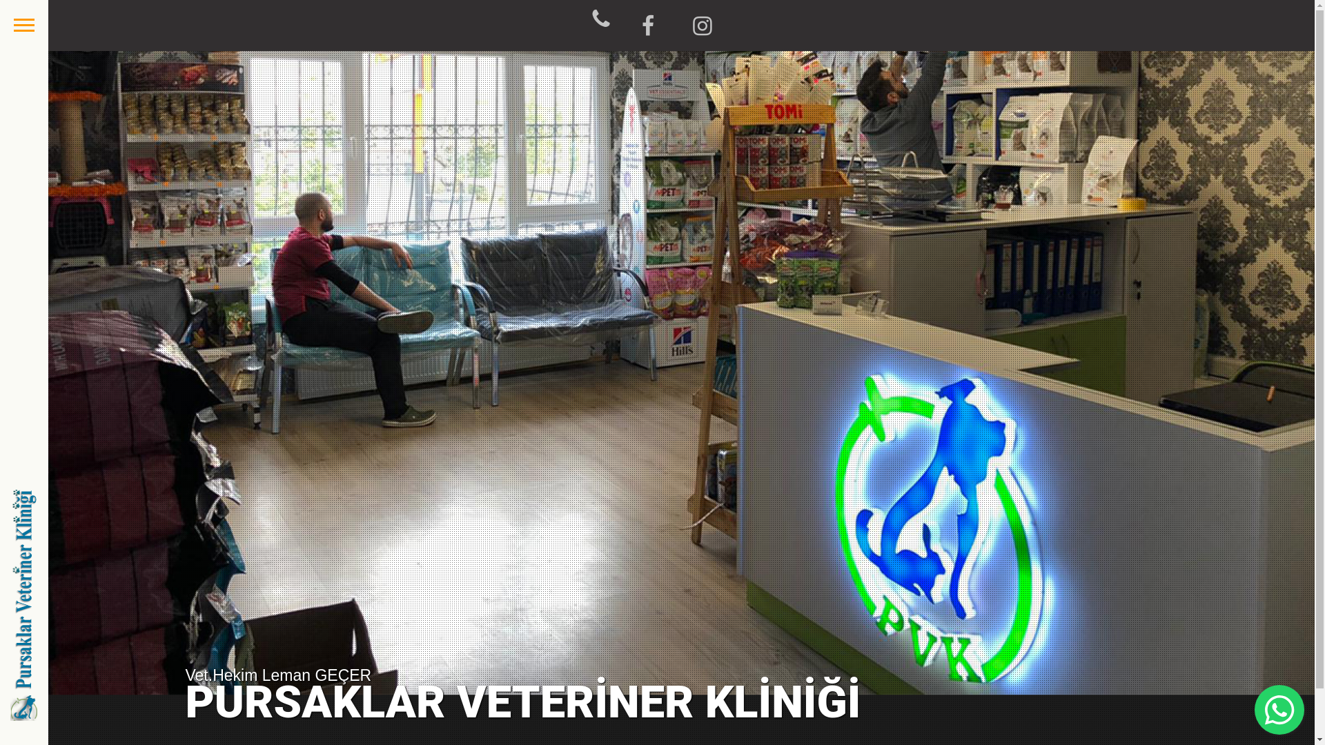 website screenshot of https://pursaklarvet.com.tr/