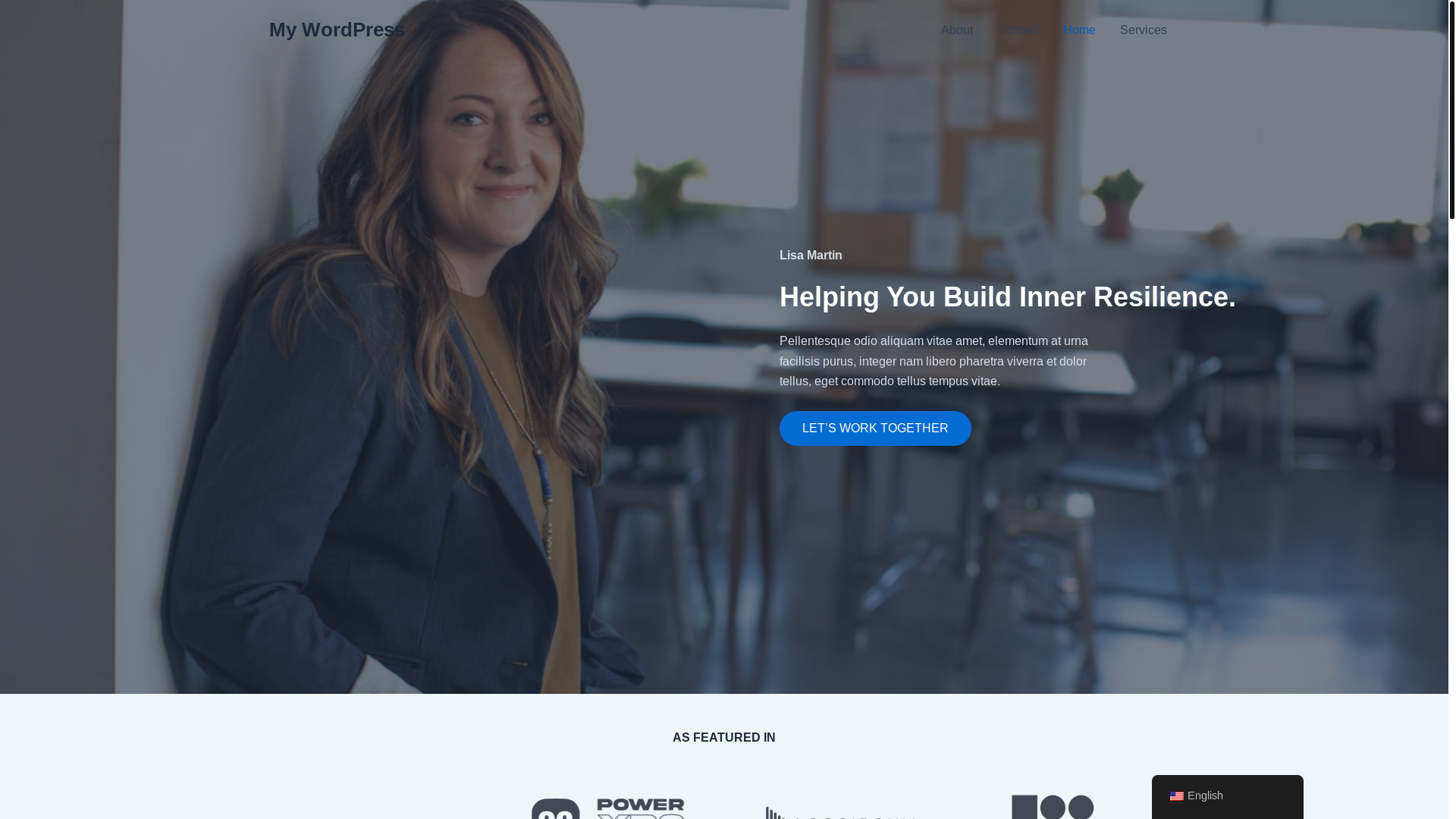 website screenshot of https://lemengchip.com/