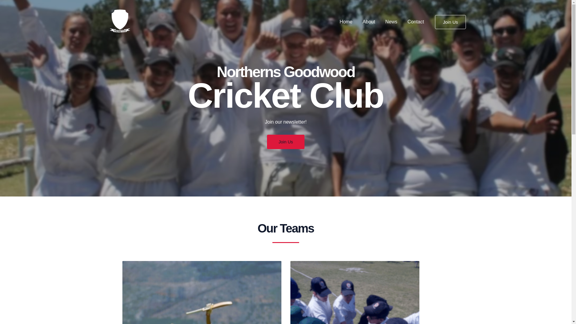 website screenshot of https://northernsgoodwood.co.za/