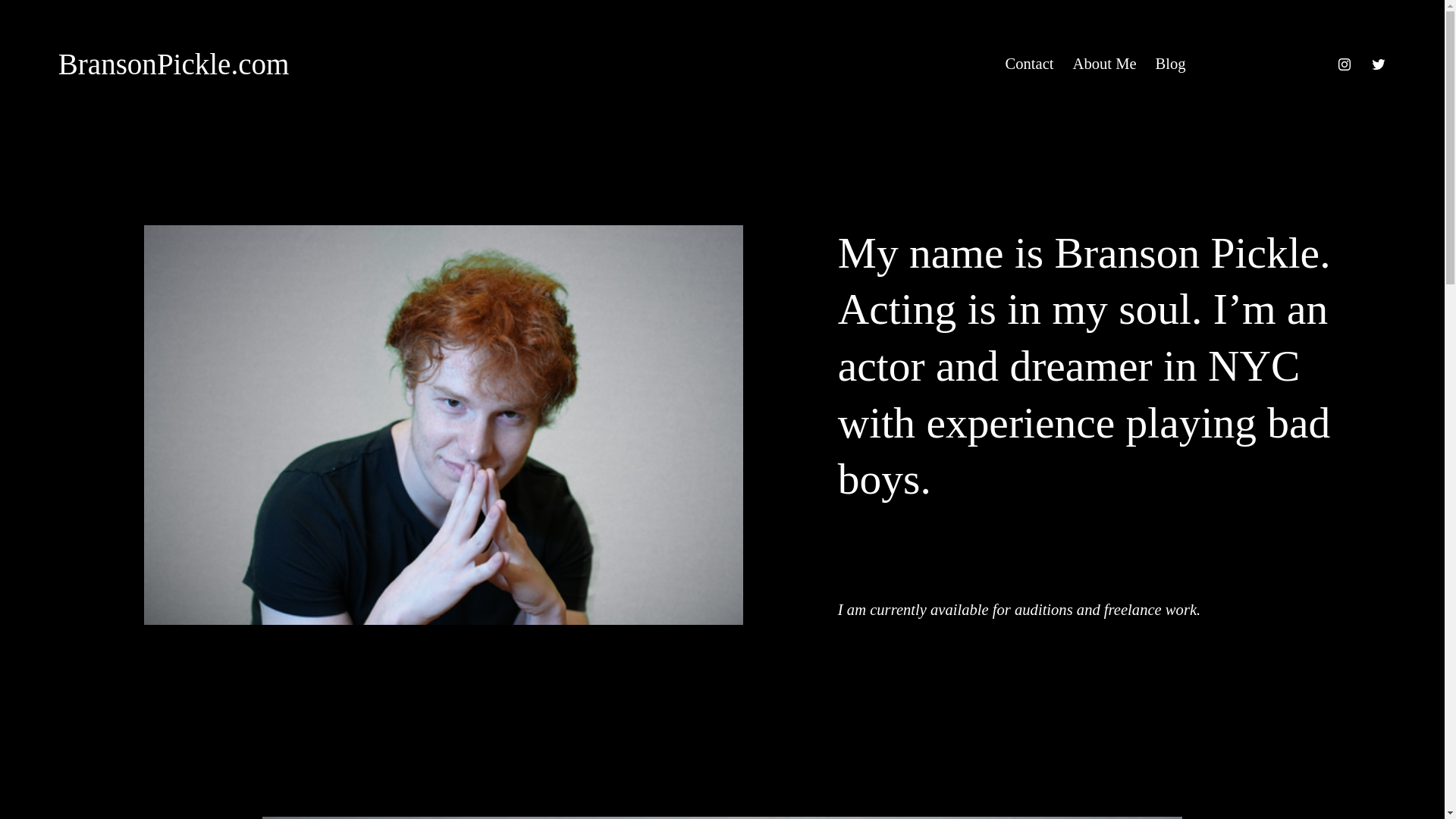 website screenshot of https://branson-pickle.com/