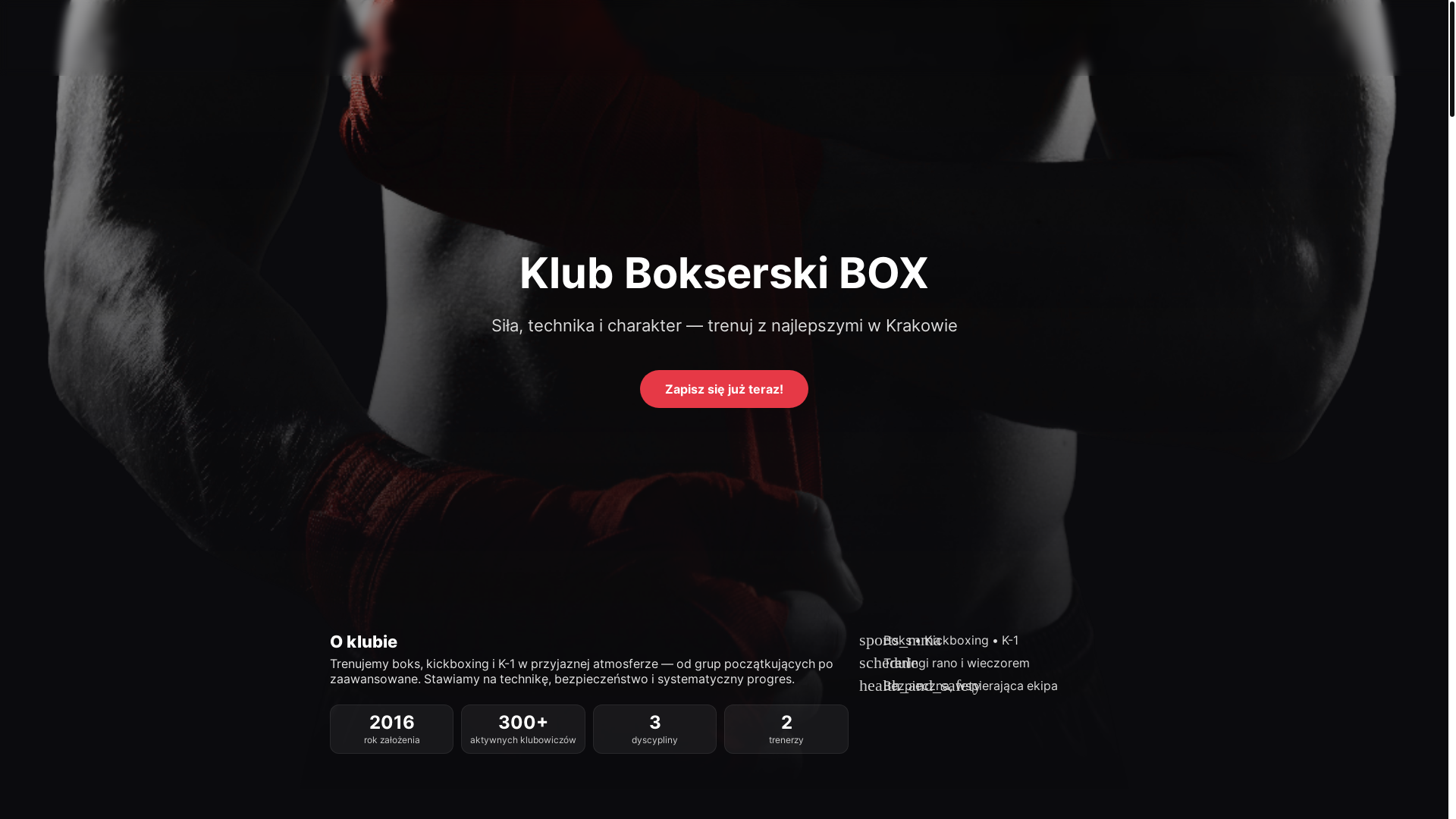 website screenshot of https://fighterteam.pages.dev/