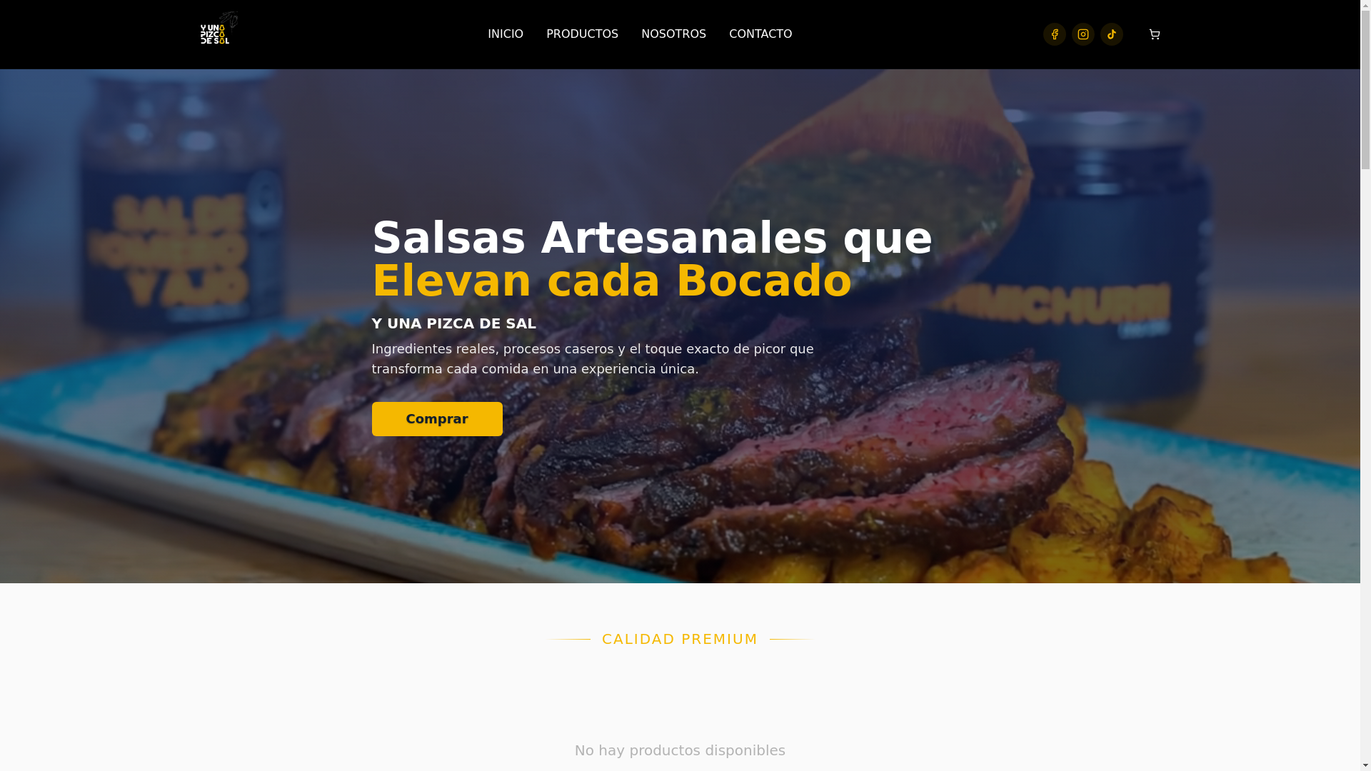 website screenshot of https://yunapizcadesal.mx/