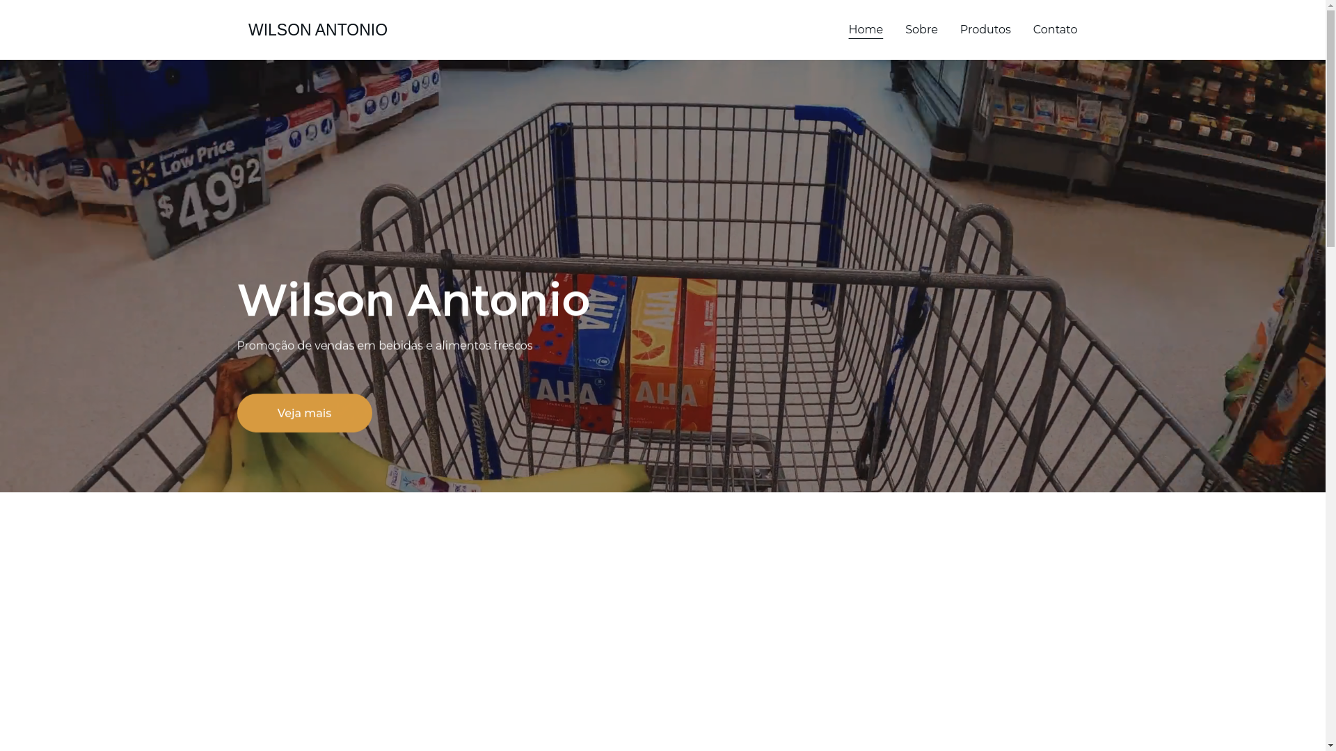 website screenshot of https://wilsonantonio.blog/