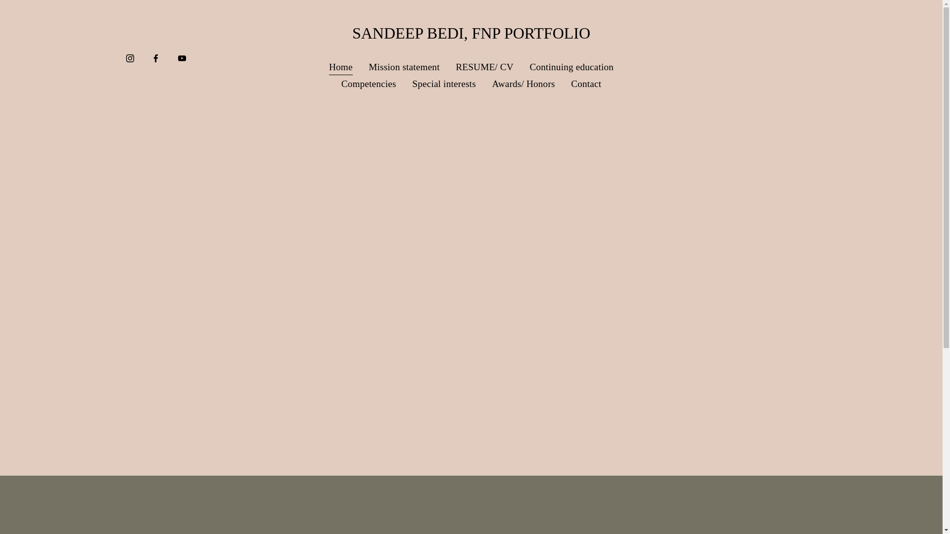 website screenshot of https://sandeepbedifnpportfolio.org/