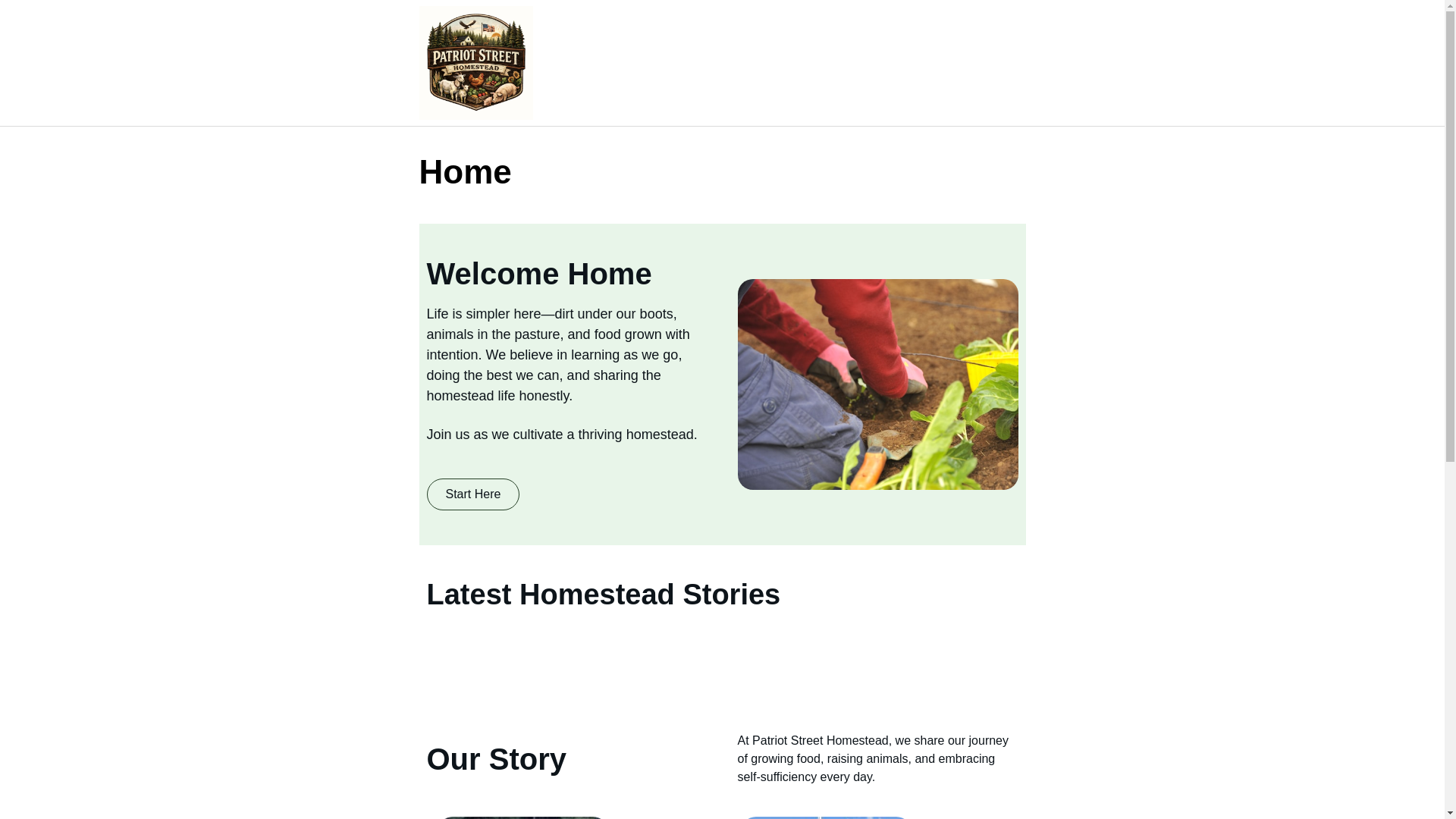 website screenshot of https://patriotstreethomestead.com/