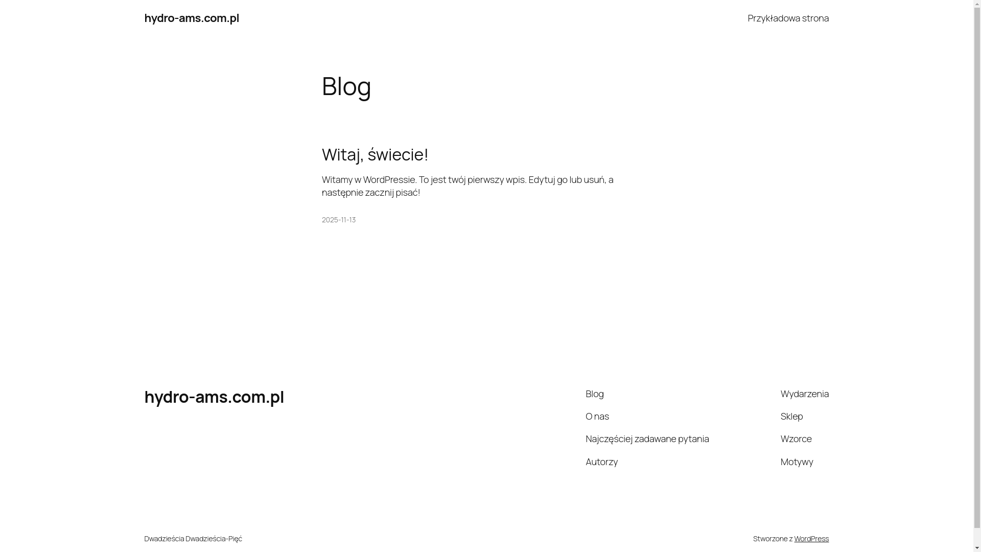 website screenshot of https://hydro-ams.com.pl/