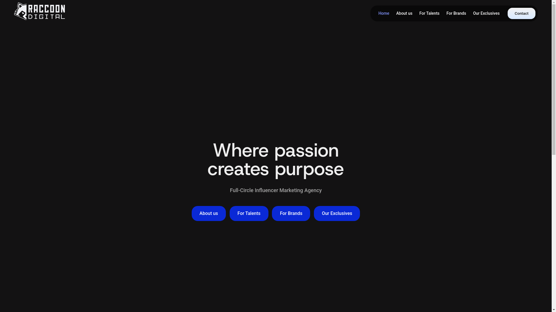 website screenshot of https://www.raccoon-digital.com/