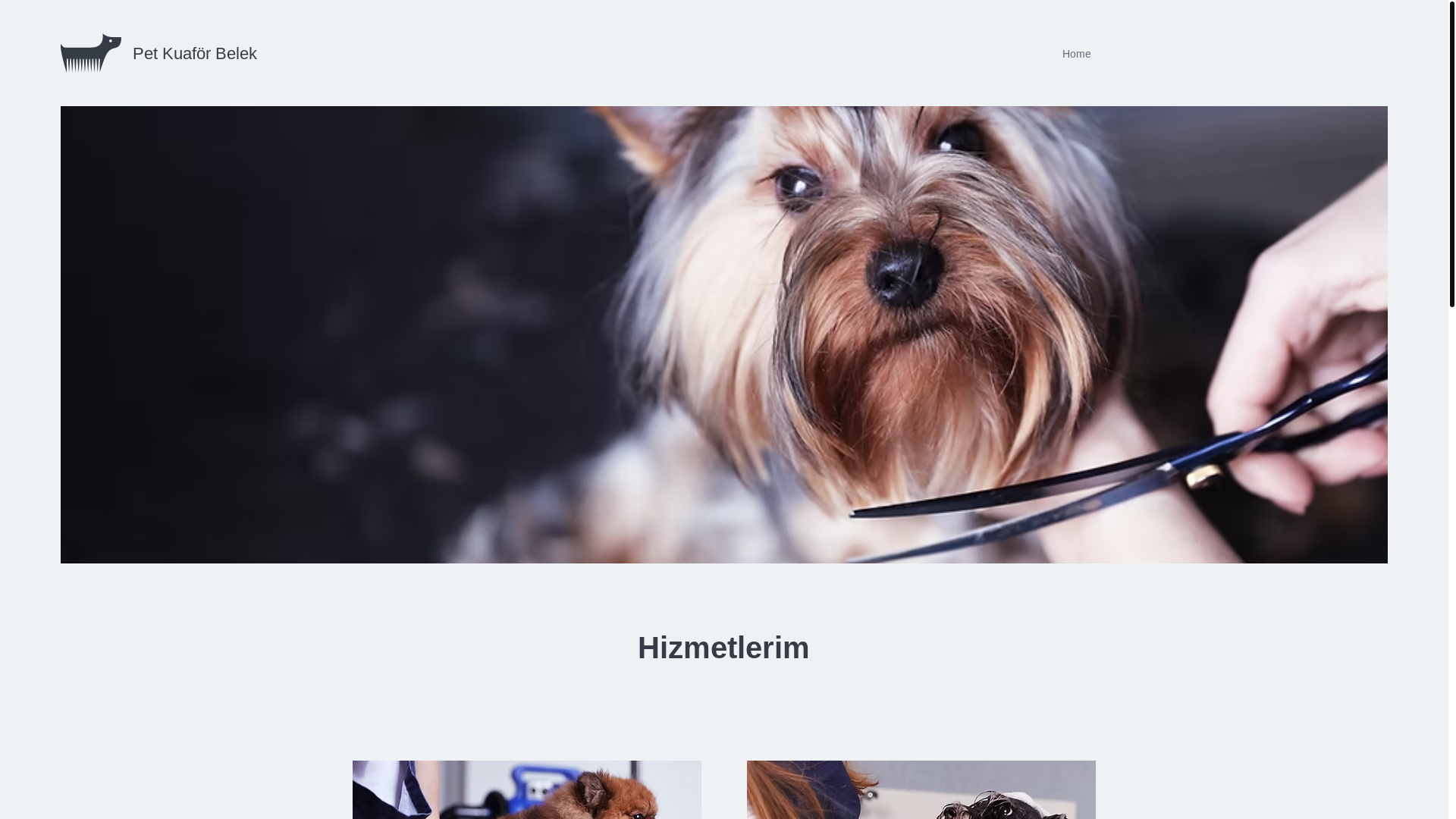 website screenshot of https://petkuafor-belek.com/