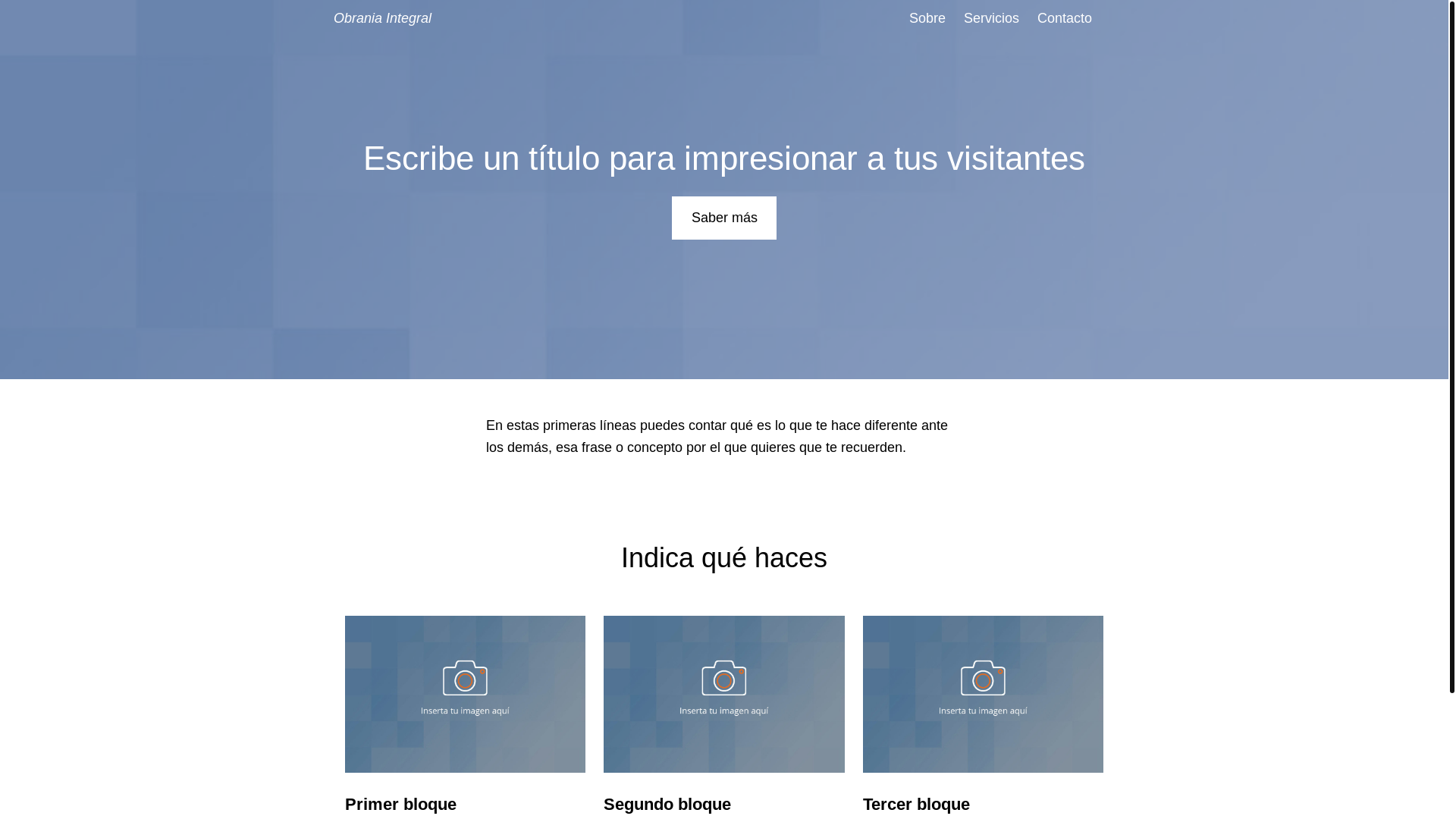 website screenshot of https://obraniaintegral.es/