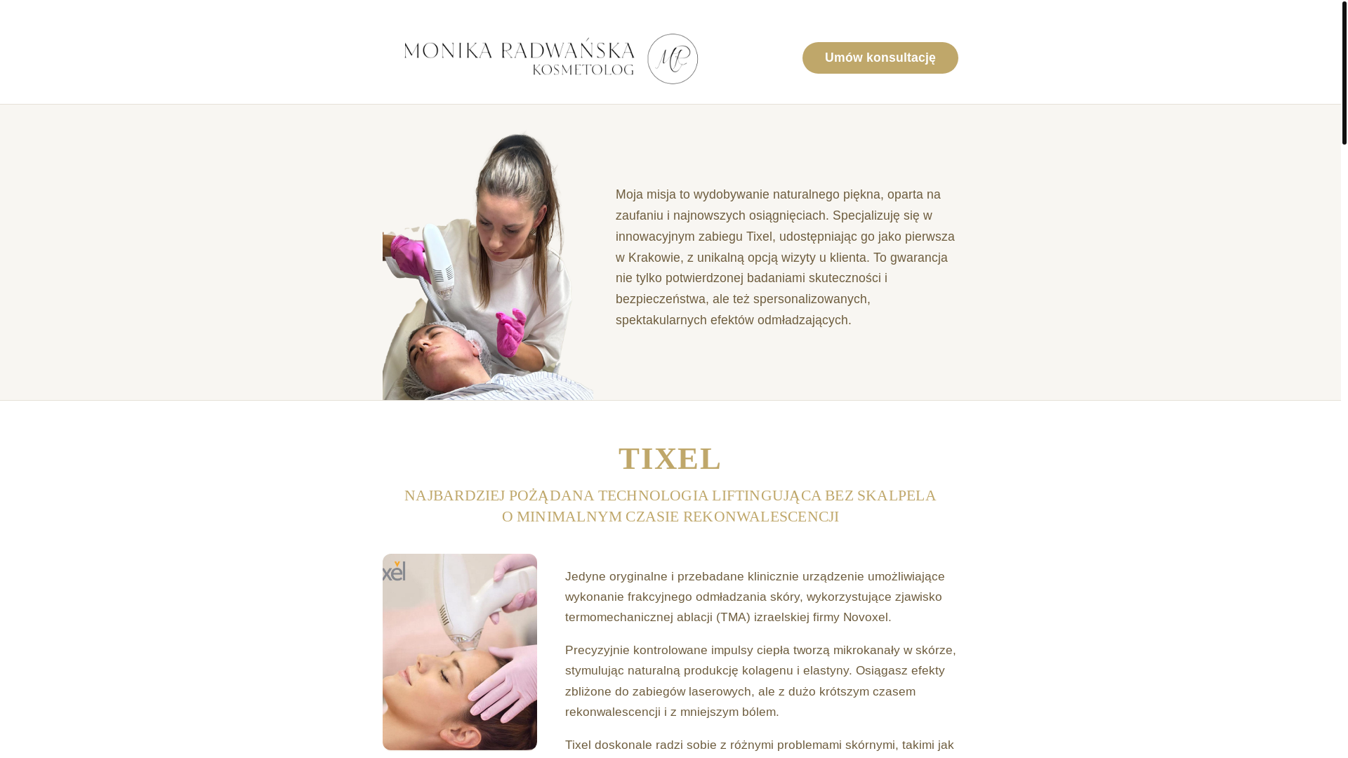 website screenshot of https://tixelkrakow.pl/