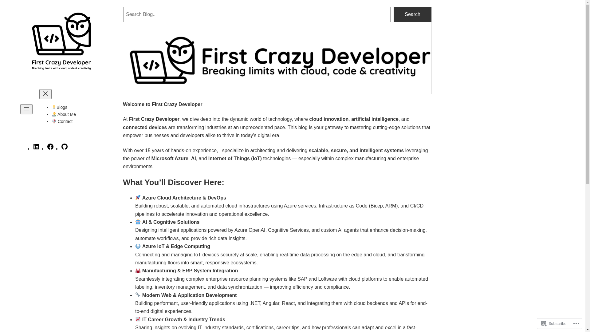 website screenshot of https://firstcrazydeveloper.blog/