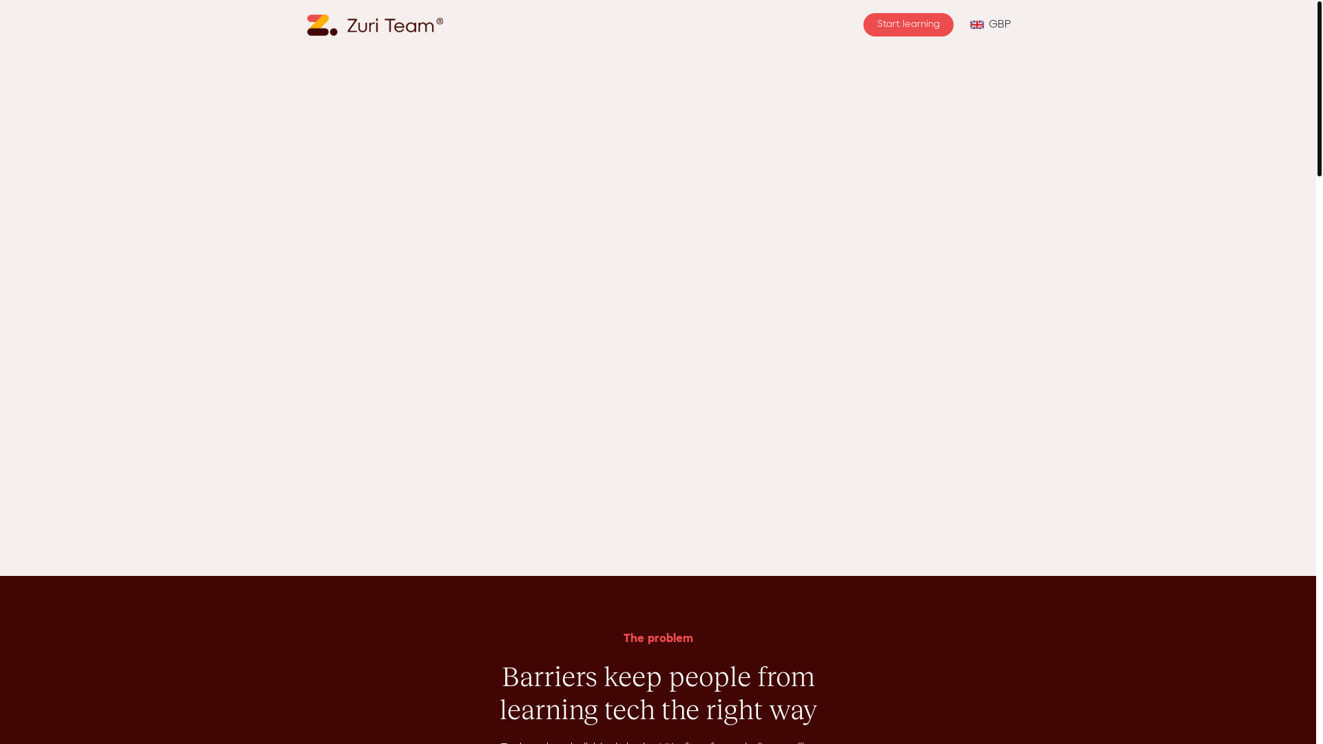 website screenshot of https://zuriteam.co.uk/
