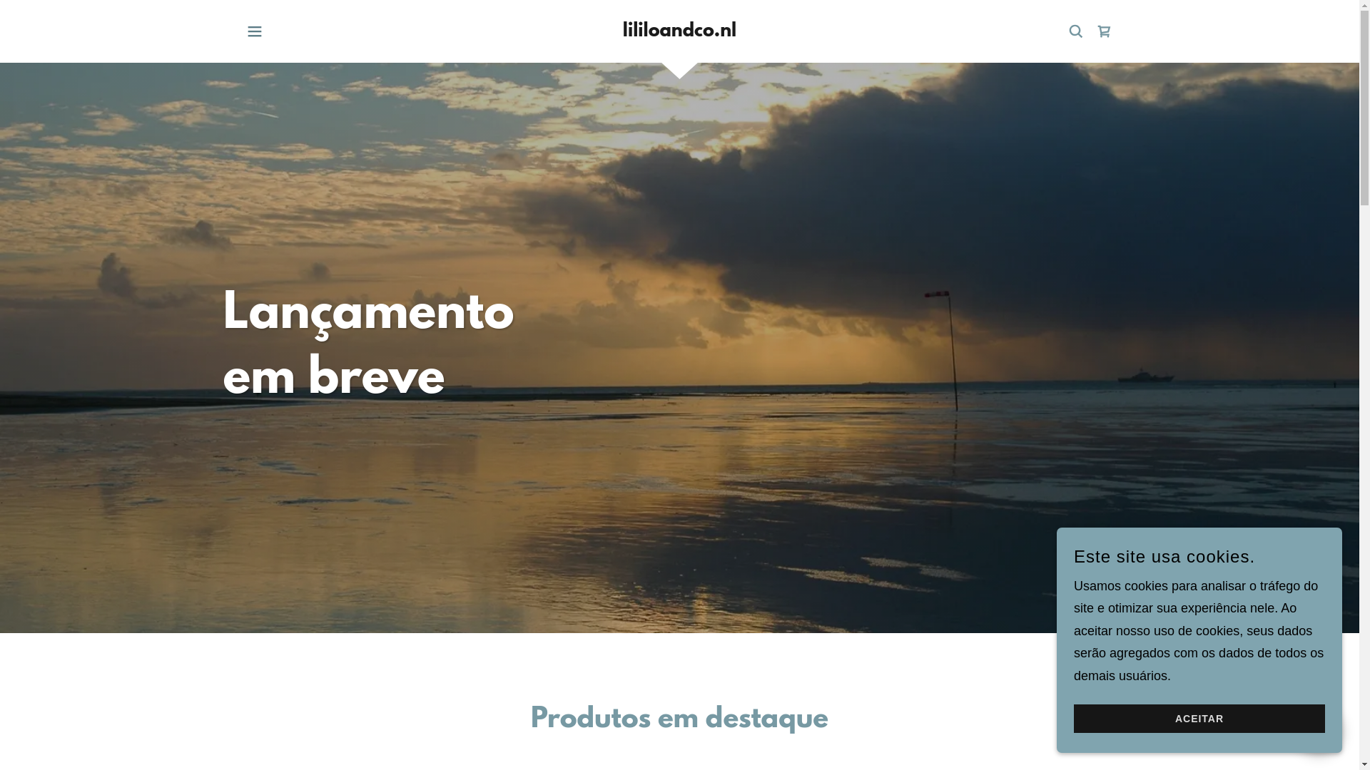 website screenshot of https://lililoandco.nl/