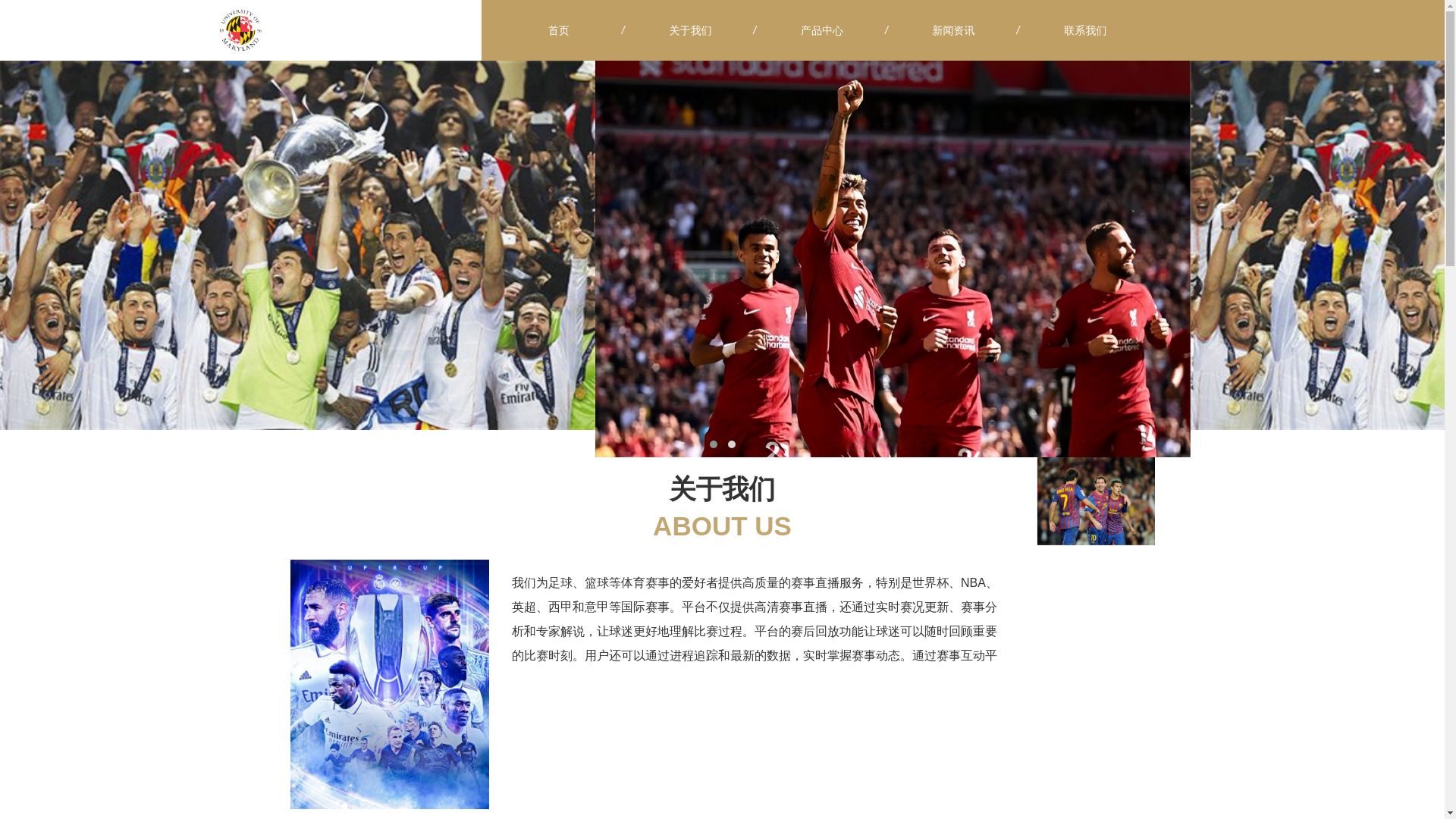 website screenshot of https://zh-index-souhu.com/