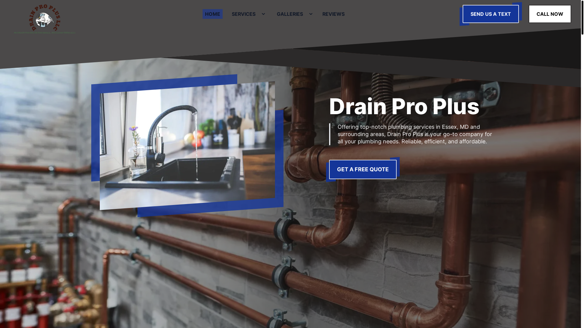 website screenshot of https://drainproplusmd.com/