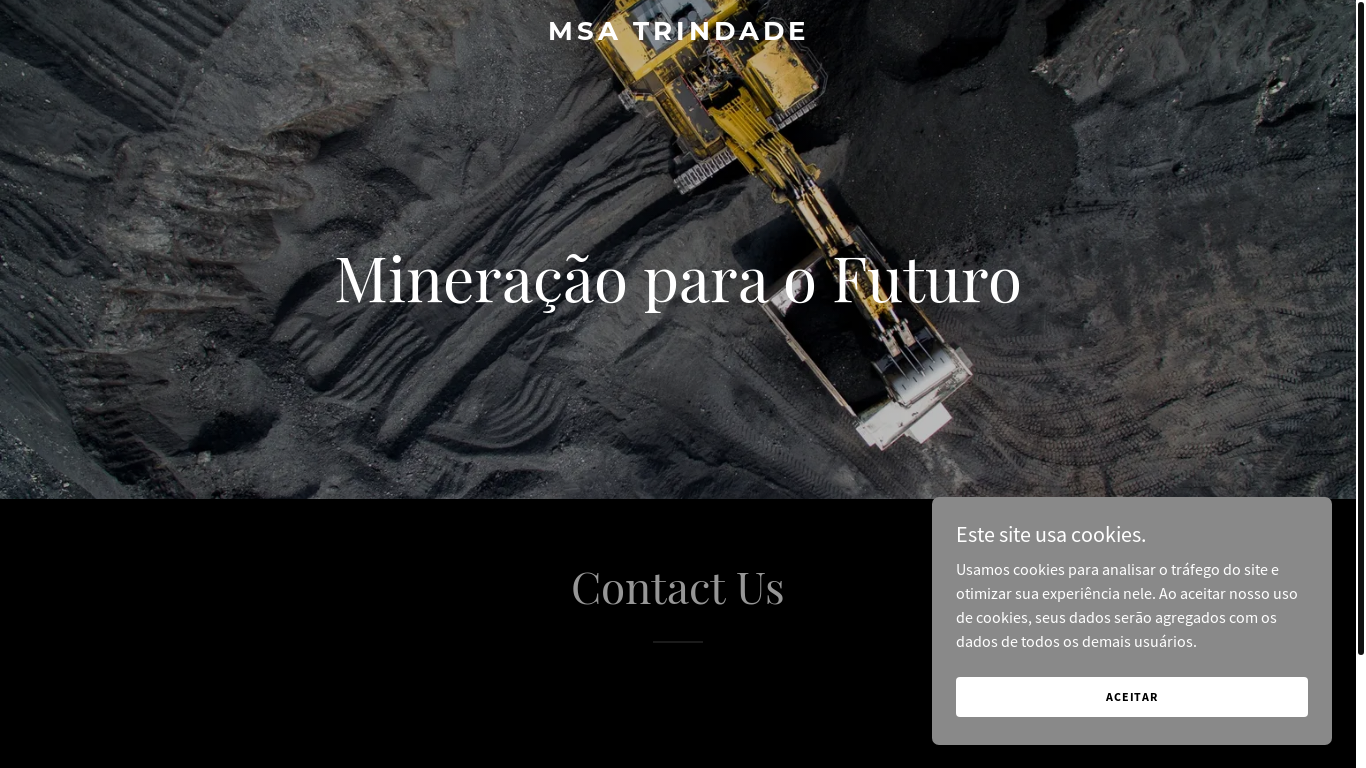 website screenshot of https://msatrindade.com/
