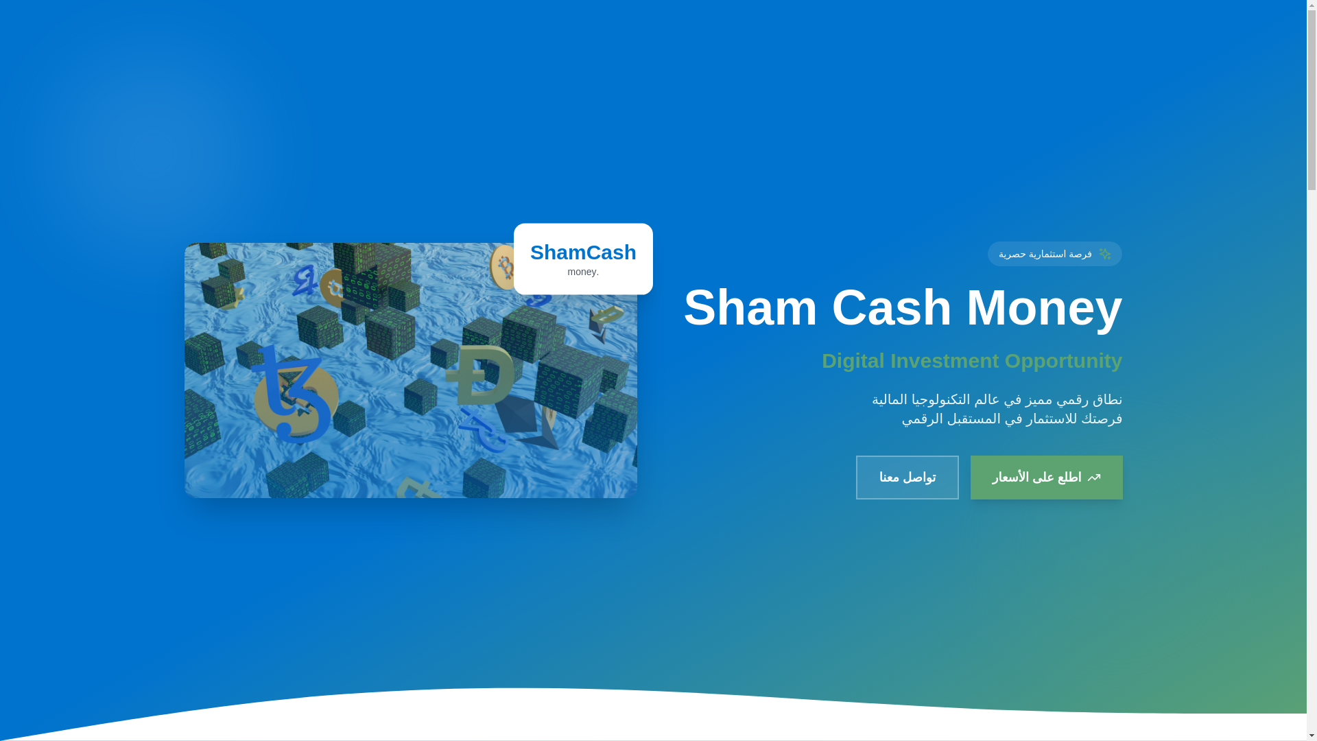 website screenshot of https://shamcash.money/