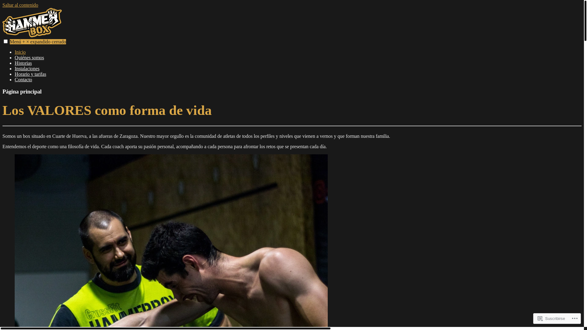 website screenshot of https://hammerboxtraining.com/