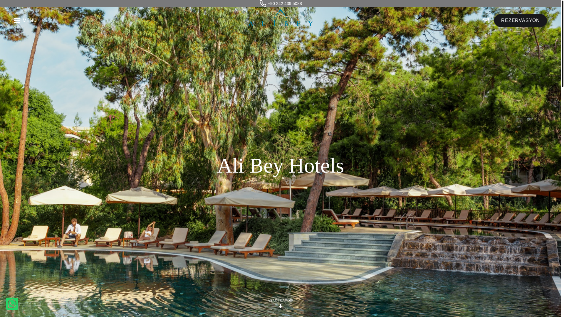 website screenshot of https://alibeysorgunantalya.com/