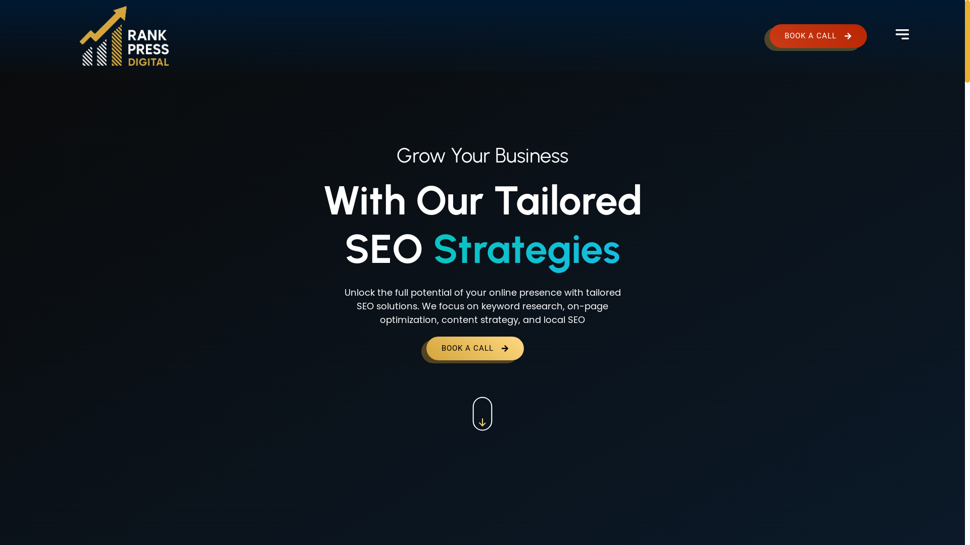 website screenshot of https://rankpressonline.info/