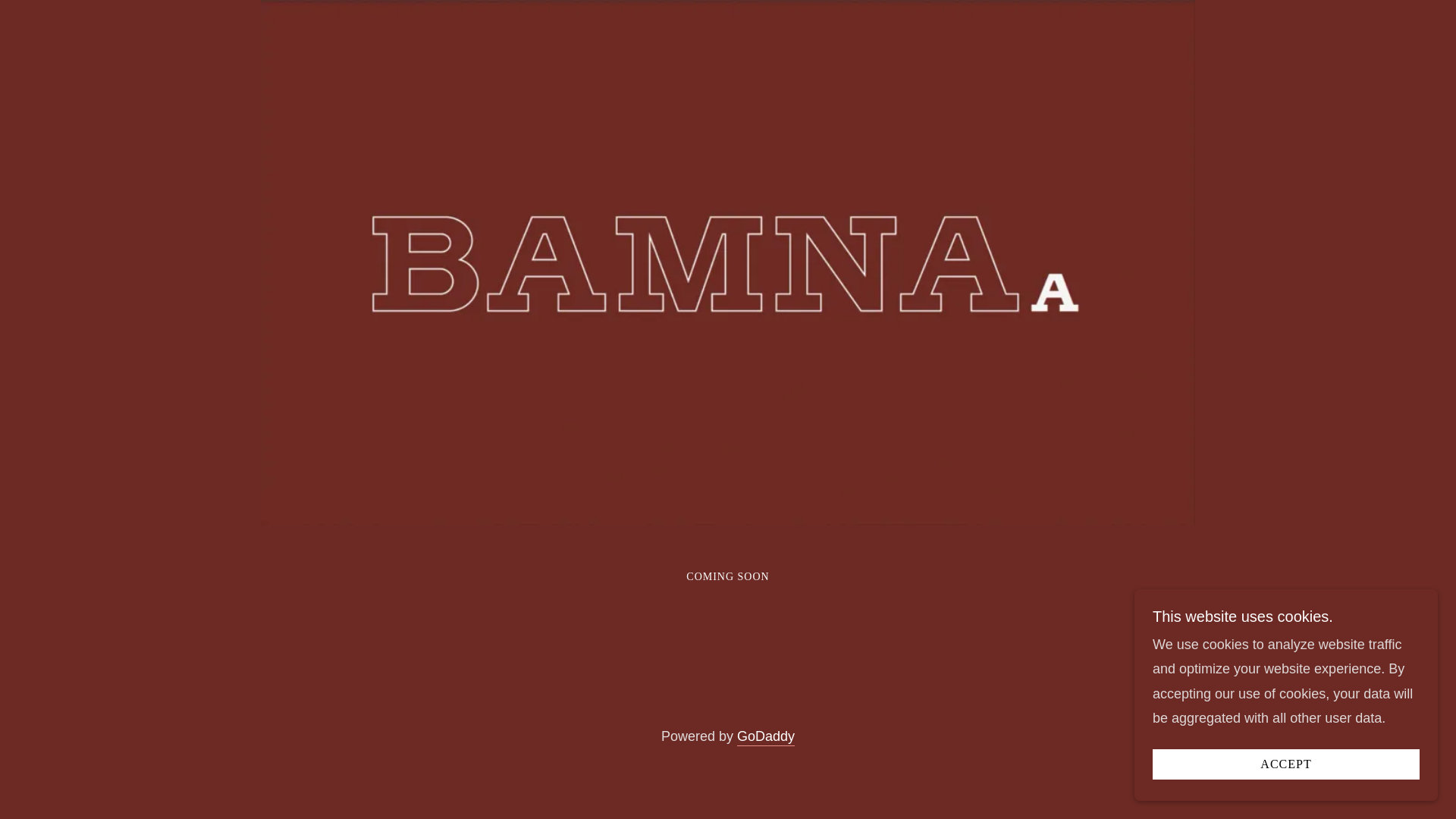 website screenshot of https://bamna.us/
