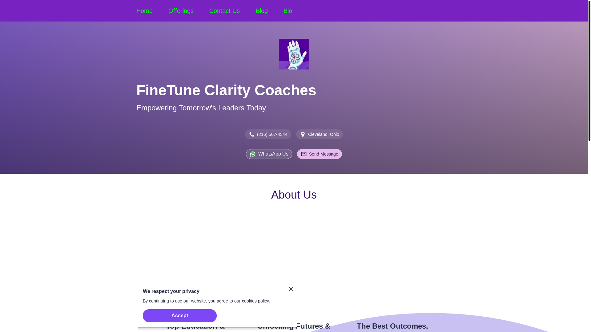 website screenshot of https://finetuneservices.us/