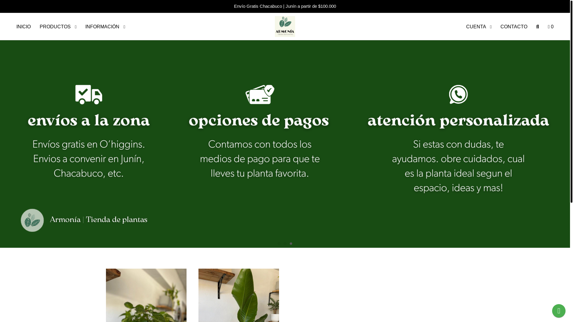 website screenshot of https://armoniatiendadeplantas.com/