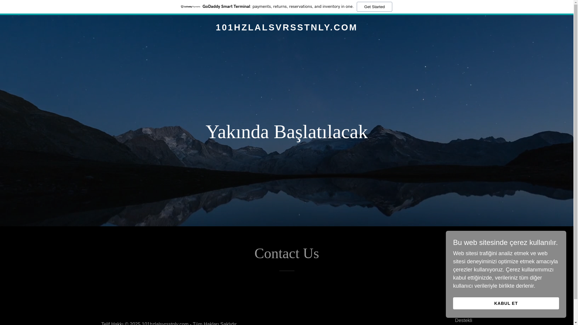 website screenshot of https://101hzlalsvrsstnly.com/