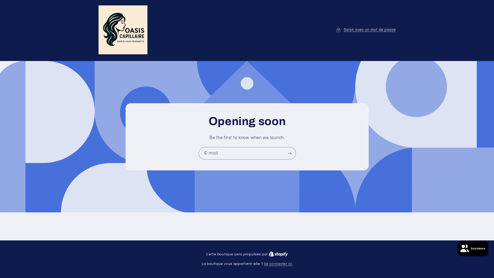 website screenshot of https://oasiscapillaire.ca/