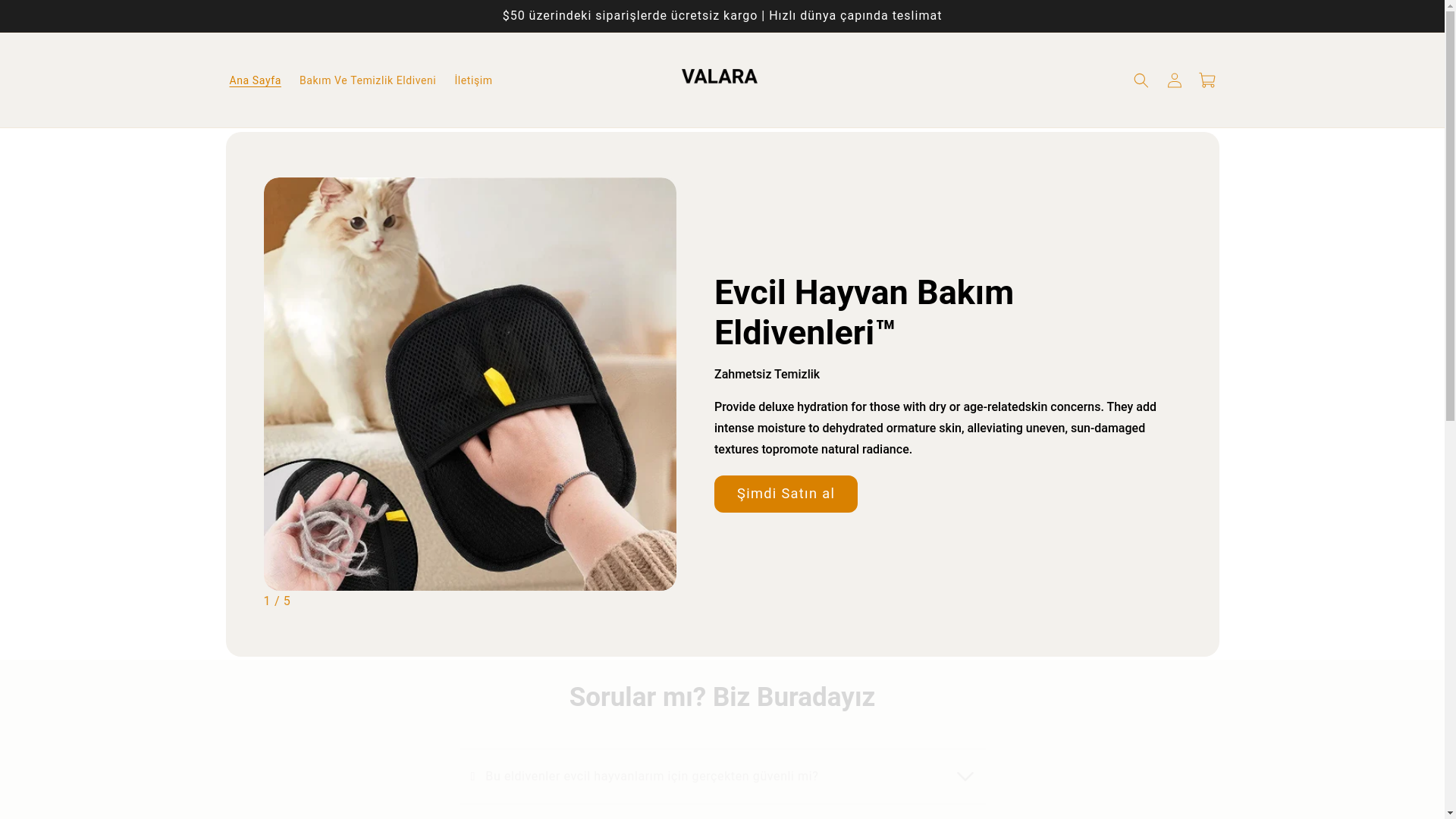 website screenshot of https://valaraa.com/