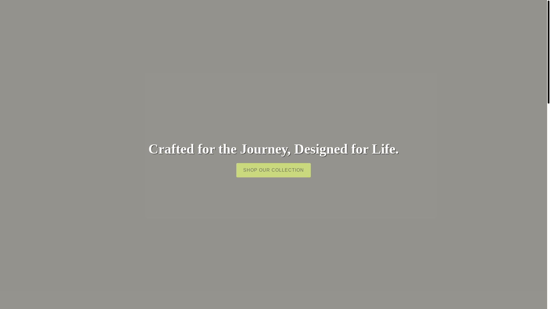 website screenshot of https://my-website-8tt.pages.dev/