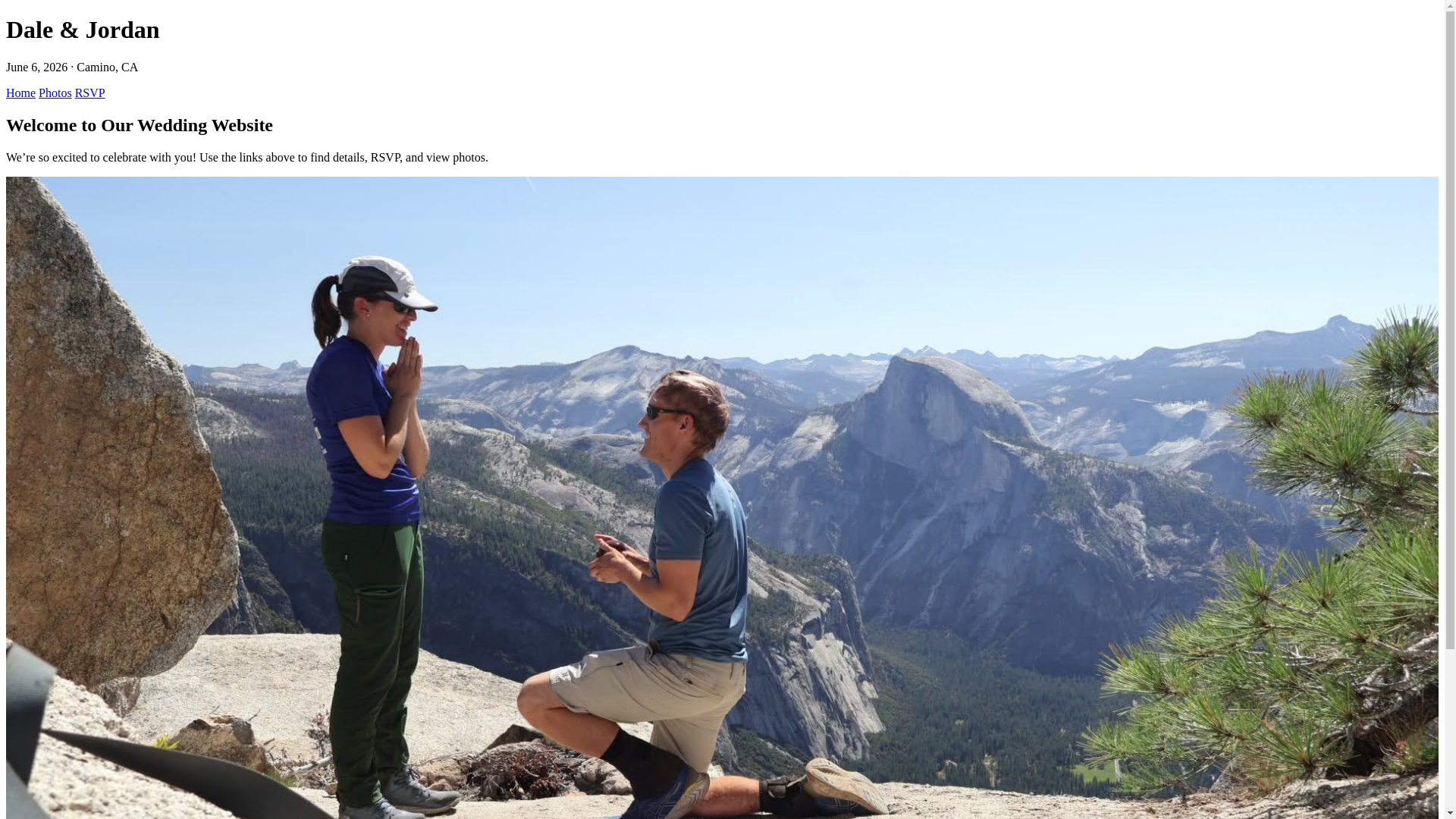 website screenshot of https://jordandalewedding.info/
