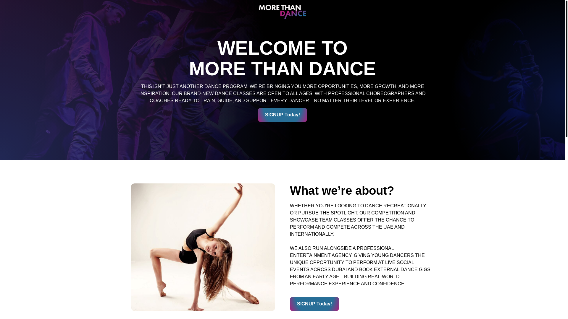 website screenshot of https://morethandance.ae/
