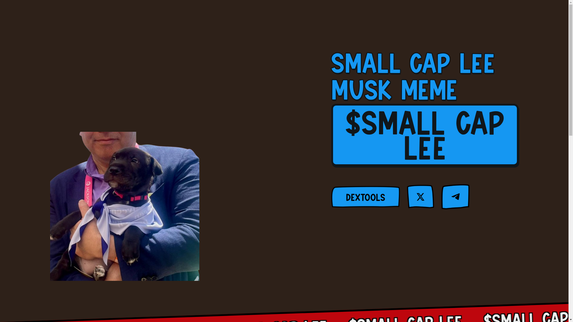 website screenshot of https://small-cap-lee.vip/