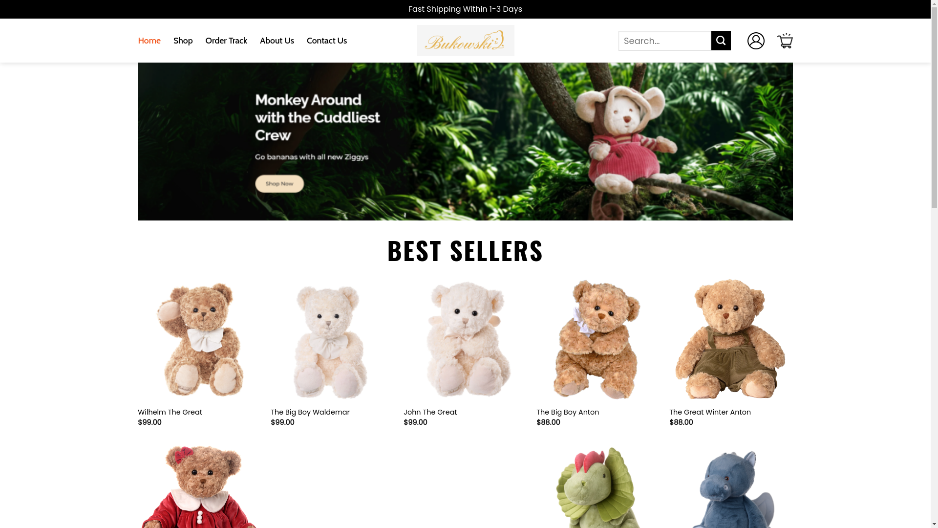 website screenshot of https://holabukowskibears.shop/