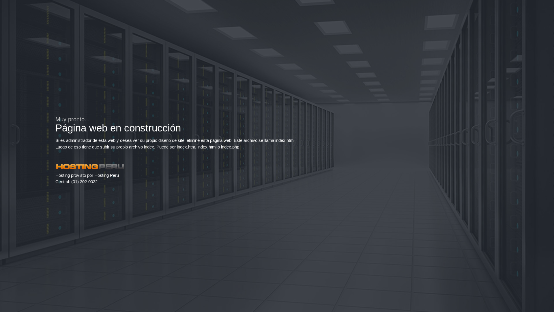 website screenshot of https://navialogistics.pe/