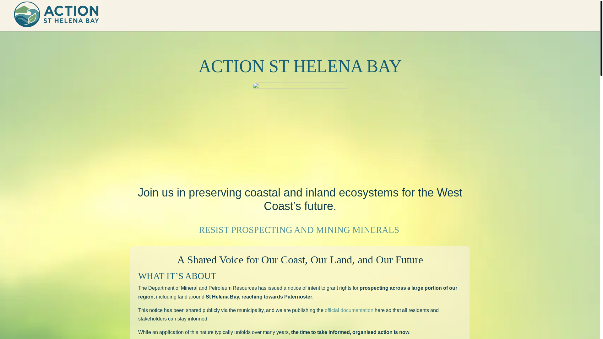 website screenshot of https://actionsthelenabay.co.za/