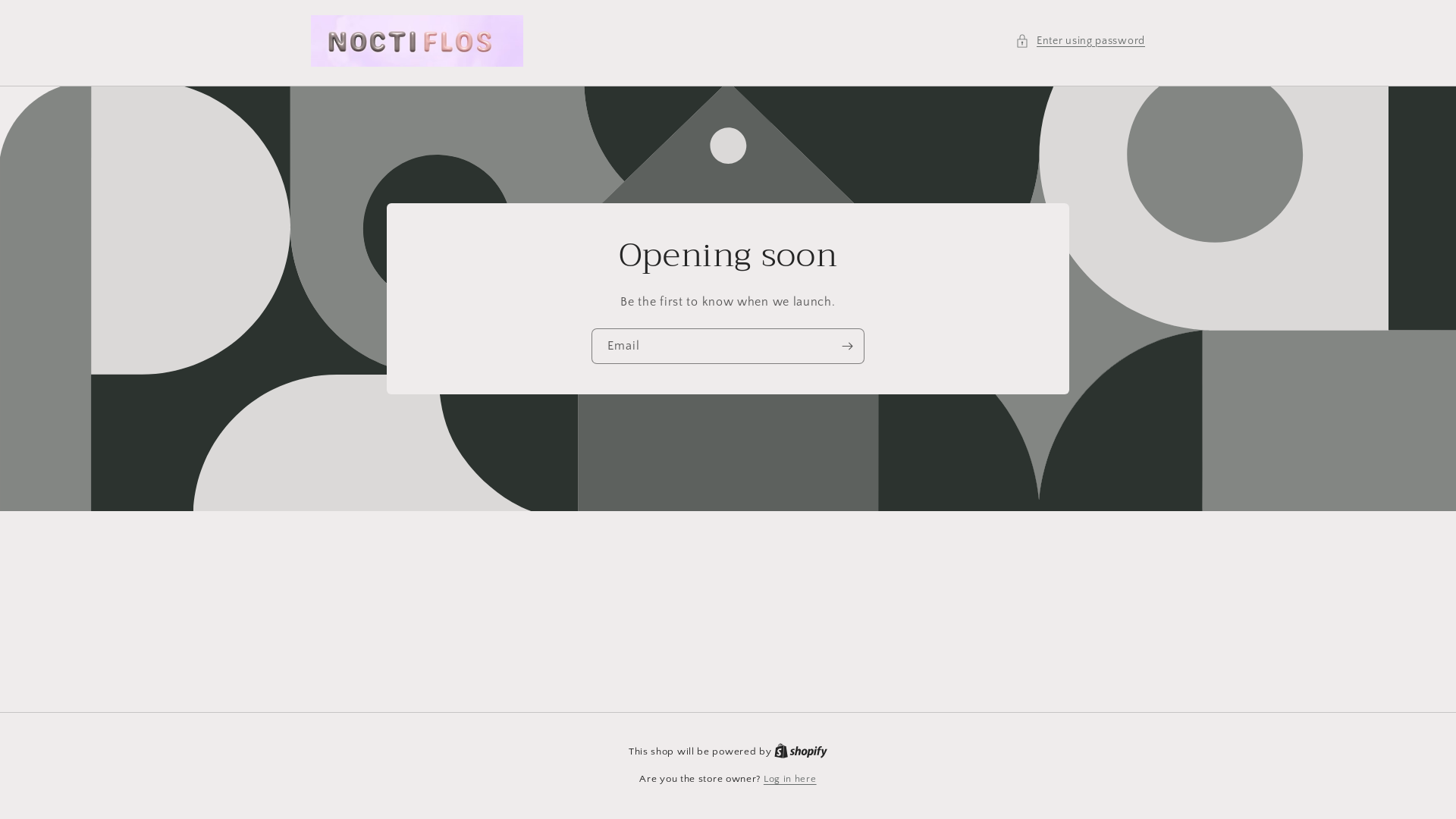 website screenshot of https://noctiflos.com/