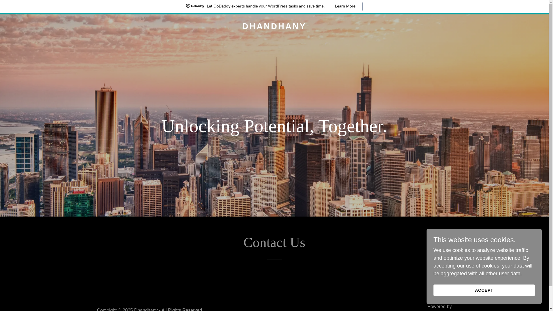 website screenshot of https://dhandhany.com/