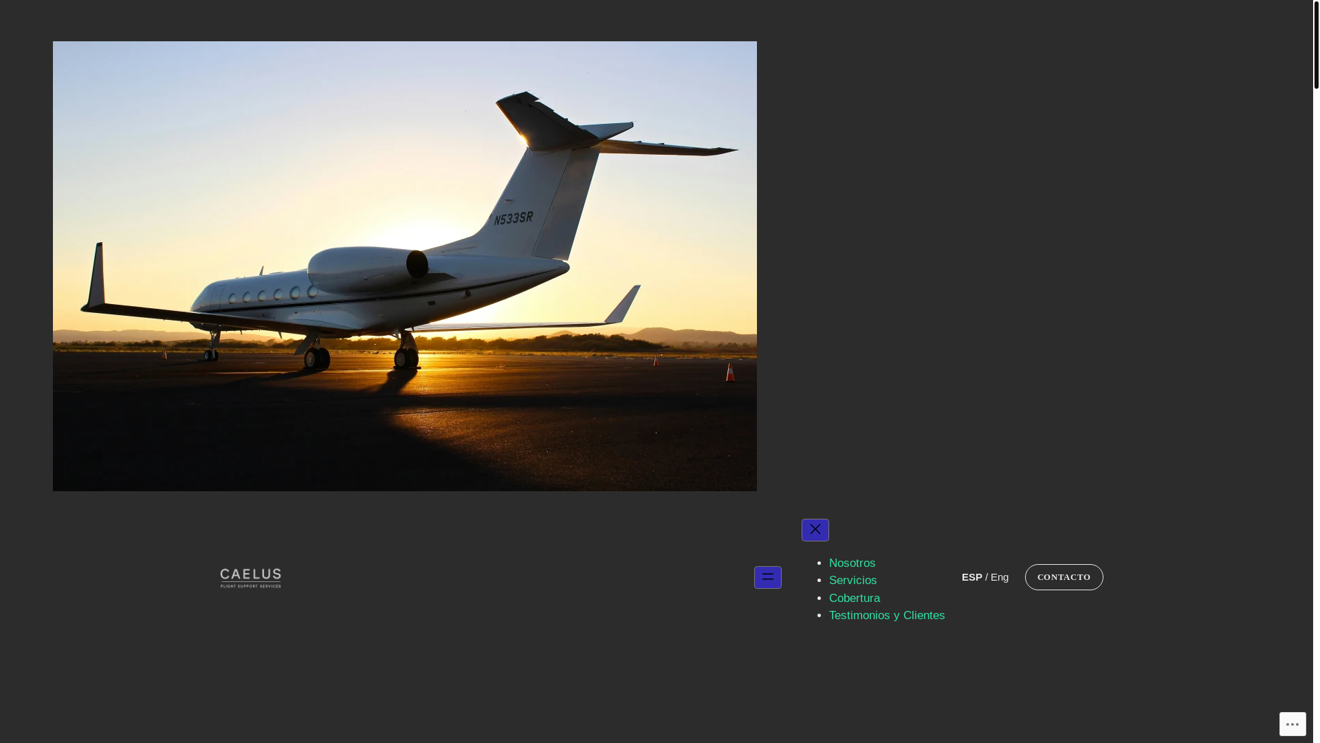 website screenshot of https://caelusflightsupport.com.mx/