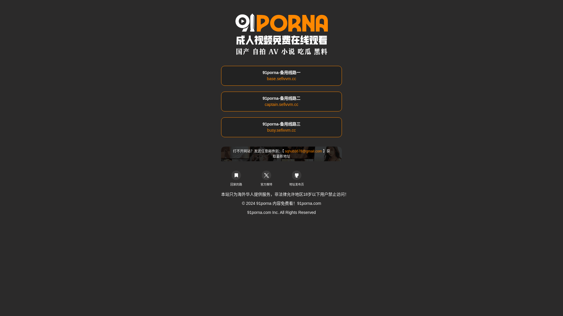 website screenshot of https://91porna10.com/