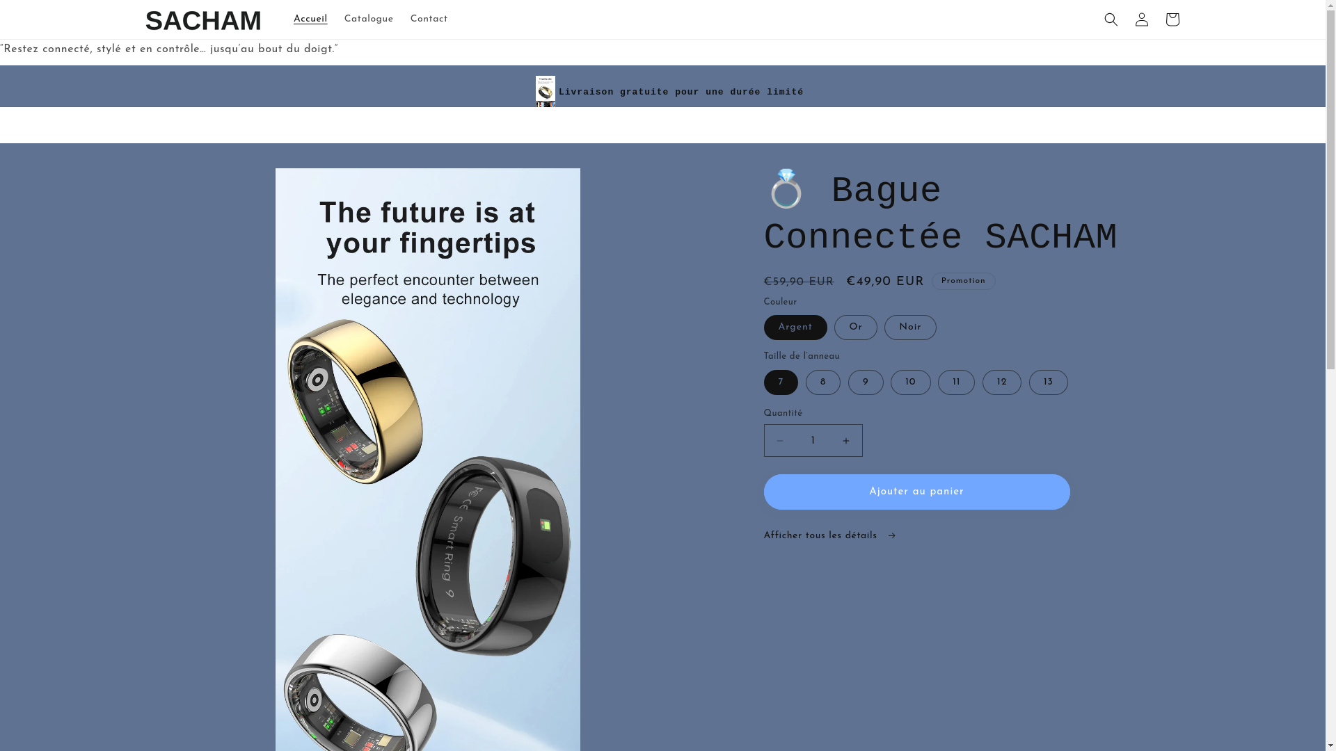website screenshot of https://sachame.com/