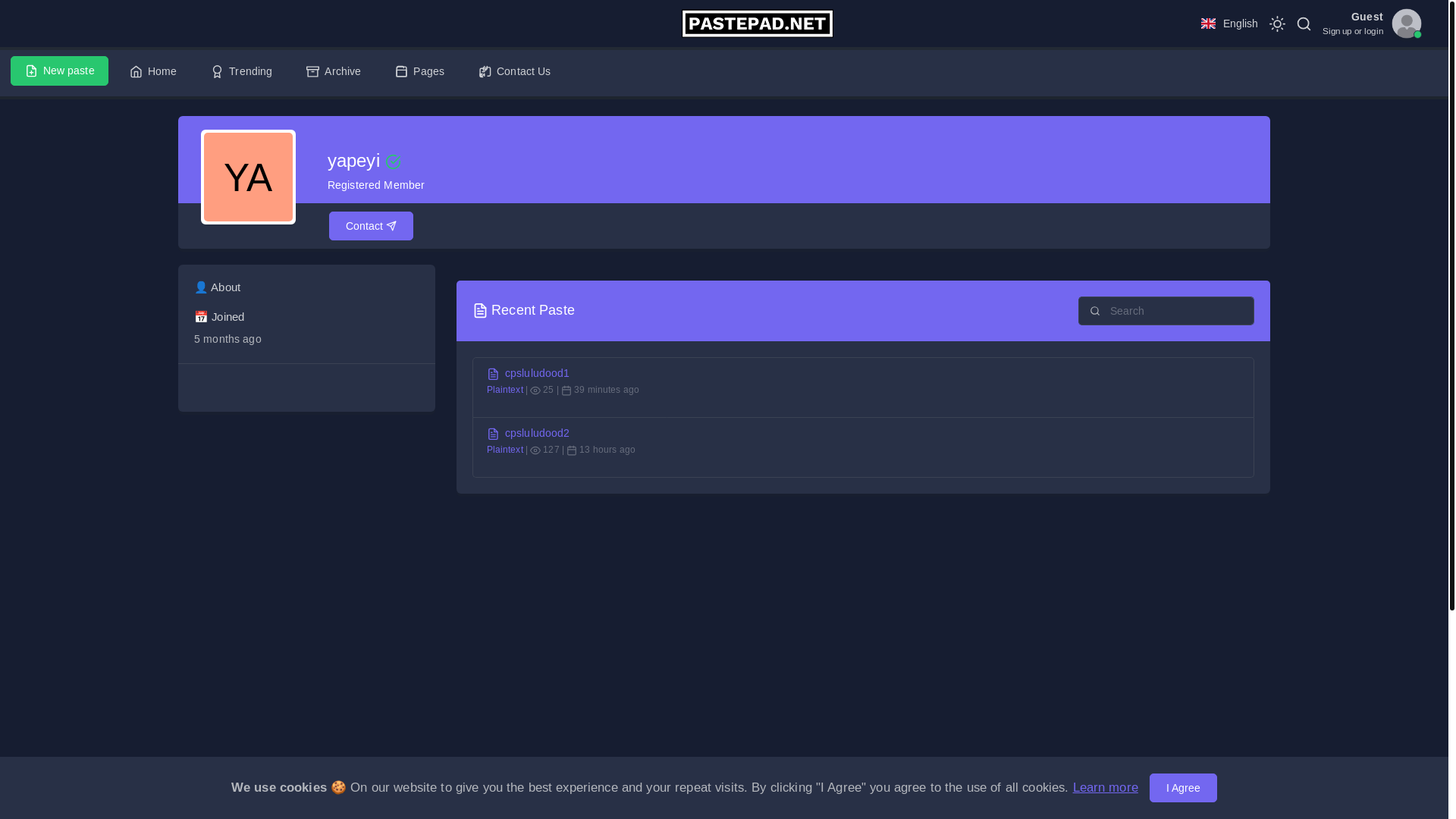 website screenshot of https://pastepad.net/u/yapeyi